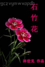 夫妻性生活三極片