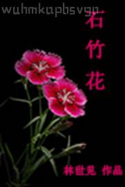 宋祖英的淫蕩生活